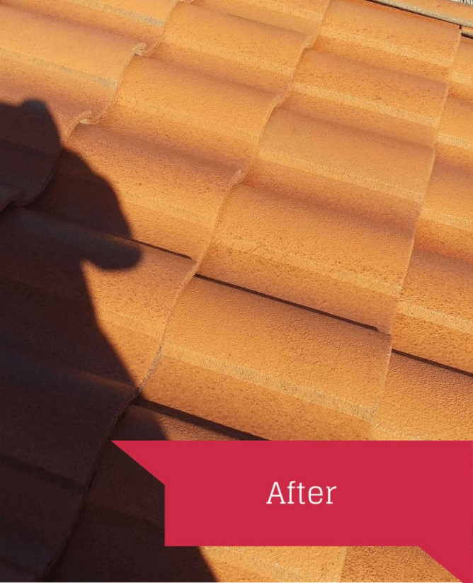 roof contractor